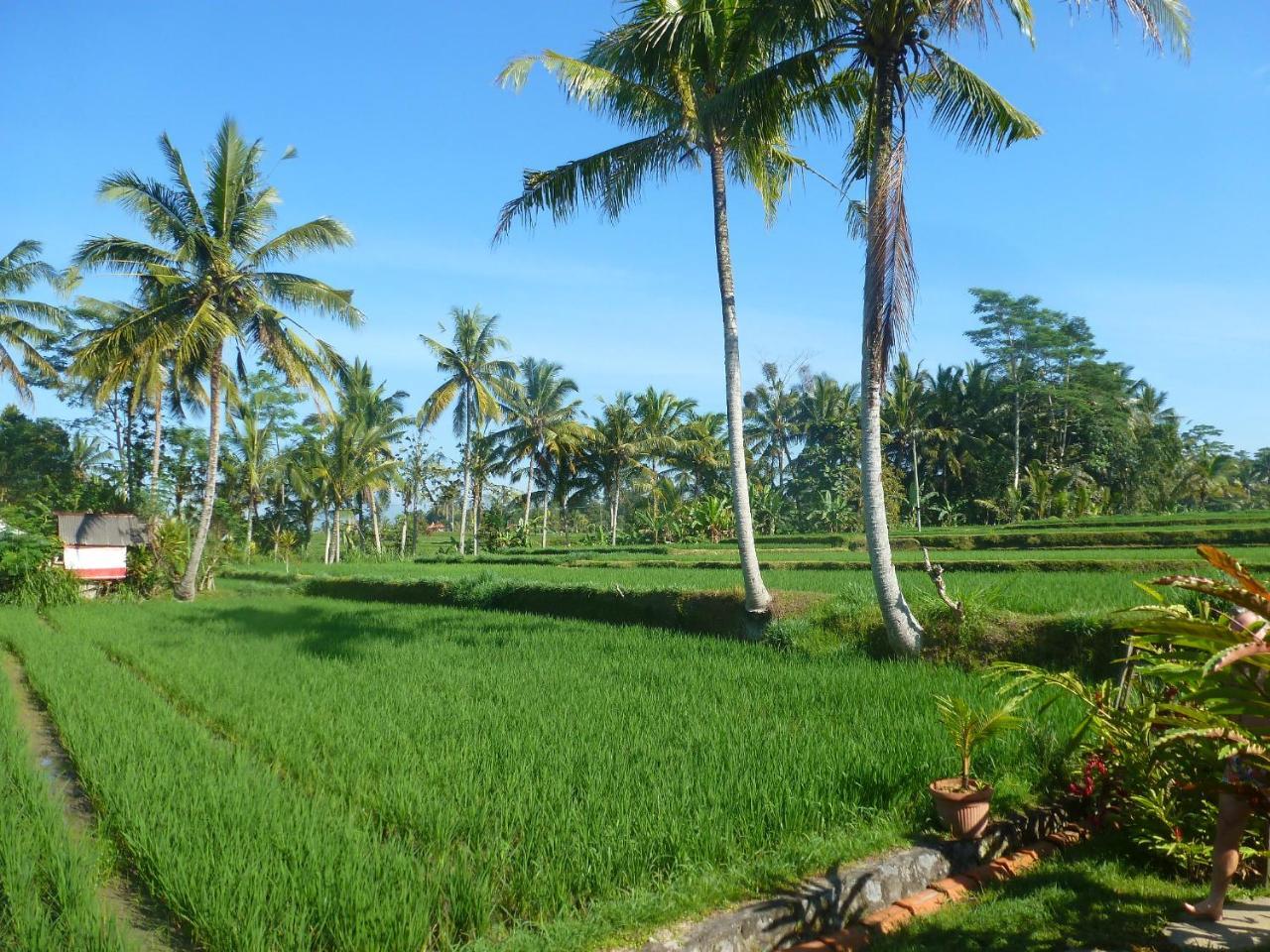 Bali Sawah Indah Otel Ubud Dış mekan fotoğraf