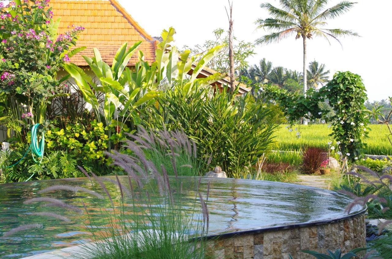 Bali Sawah Indah Otel Ubud Dış mekan fotoğraf